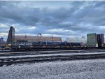 CP 317360